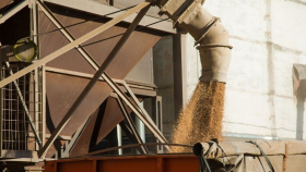 Союз экспортёров зерна выступил против отказа от квот